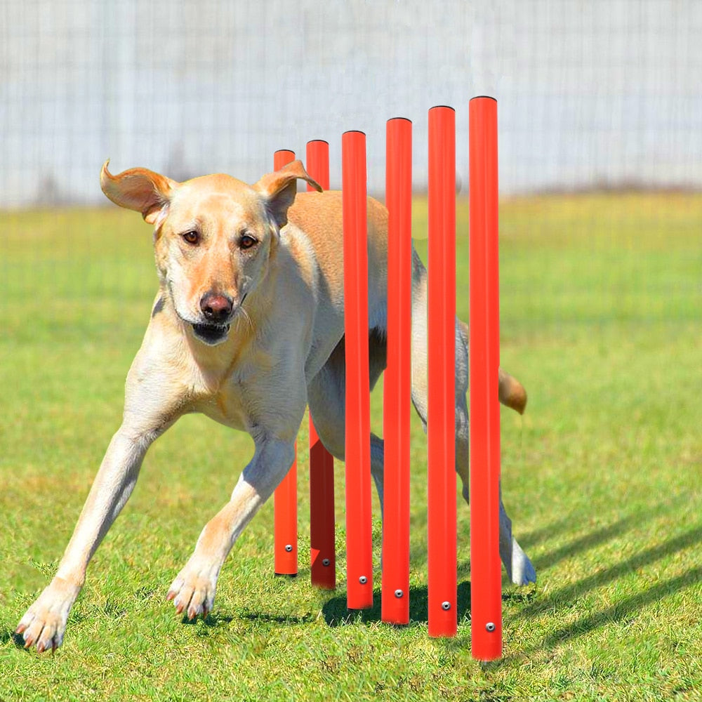 Outdoor Dog Obstacle Training Set Pet Agility Equipment Jumping Set  Dog Training Accessories Dog Obstacle Course Pet Supplies